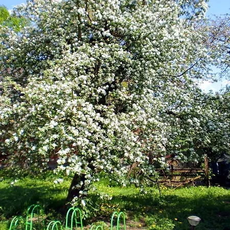 Storchenhof