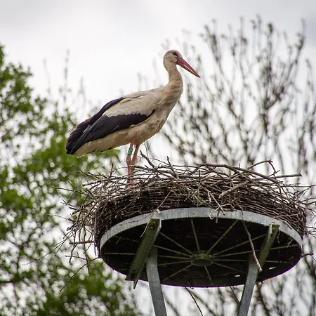 Storchenhof * Schmogrow