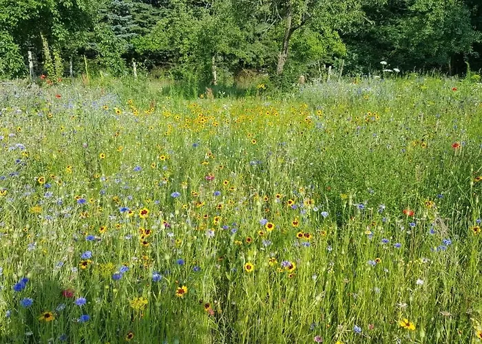 Apartamento Storchenhof Schmogrow