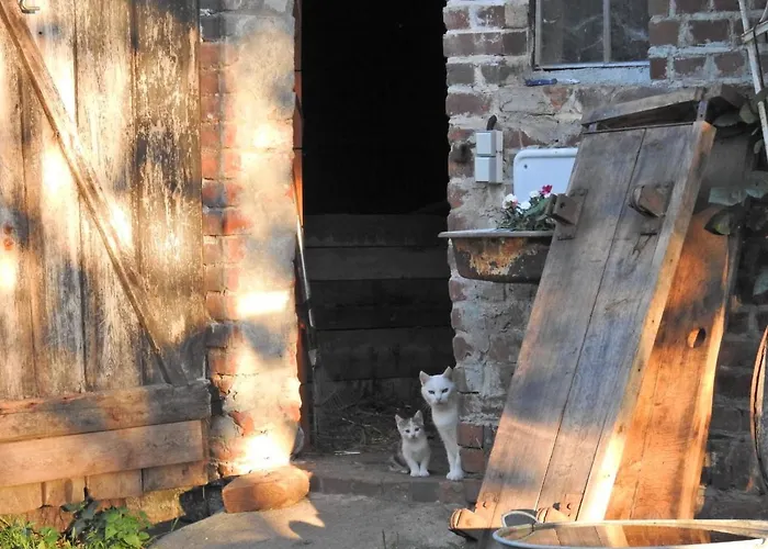 Storchenhof Apartamento Schmogrow