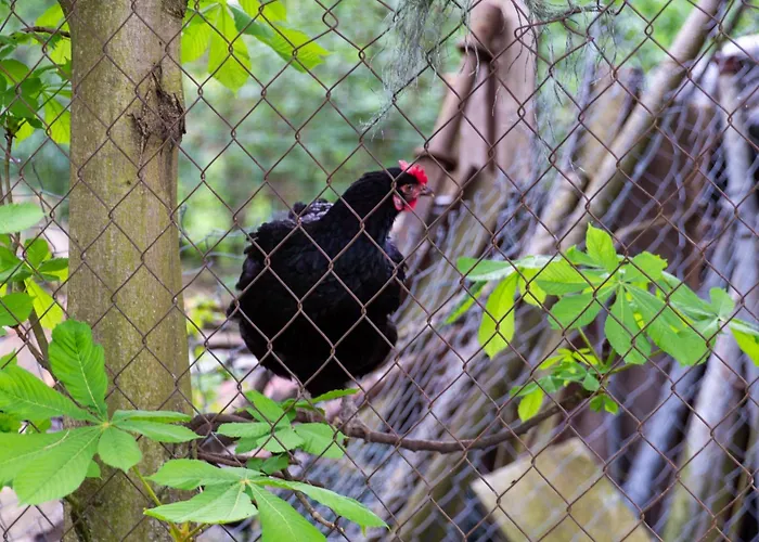 Storchenhof Apartamento