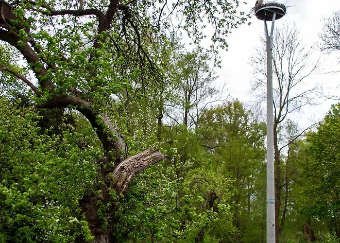 Storchenhof Apartamento