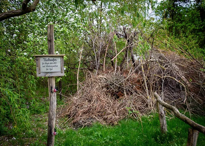 Apartamento Storchenhof Schmogrow