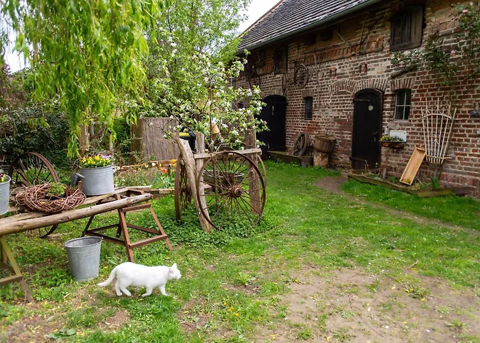 Apartamento Storchenhof Schmogrow