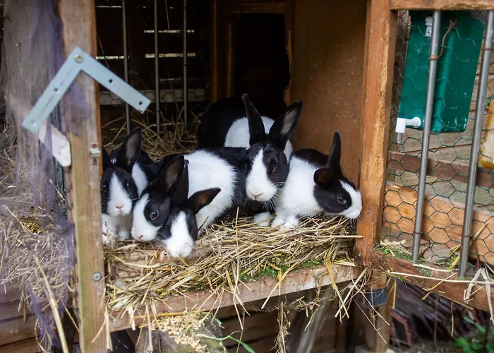 Storchenhof Schmogrow